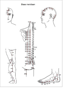 blaasmaagmeridiaan