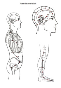 galblaasmeridiaan