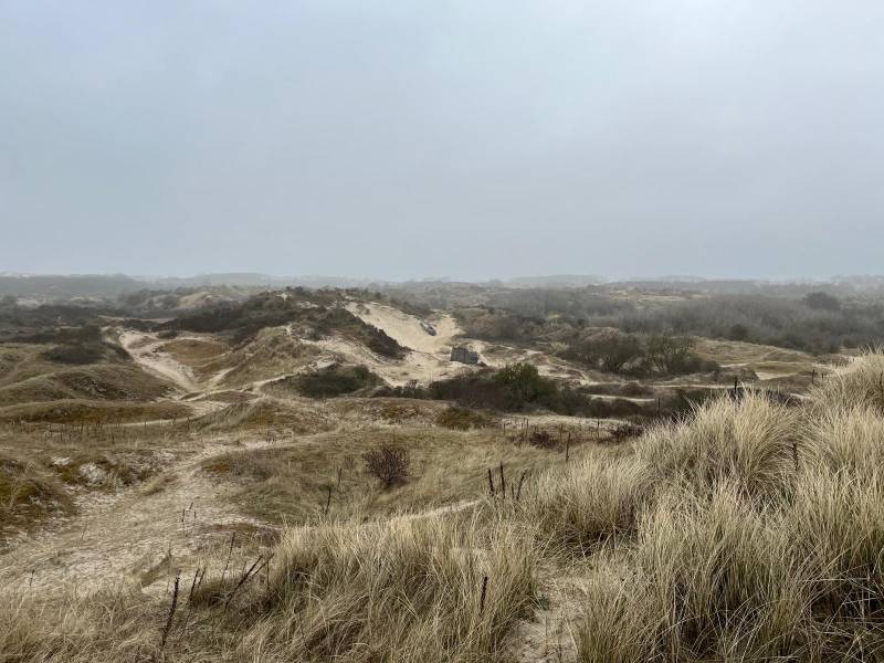 Bray-Dunes