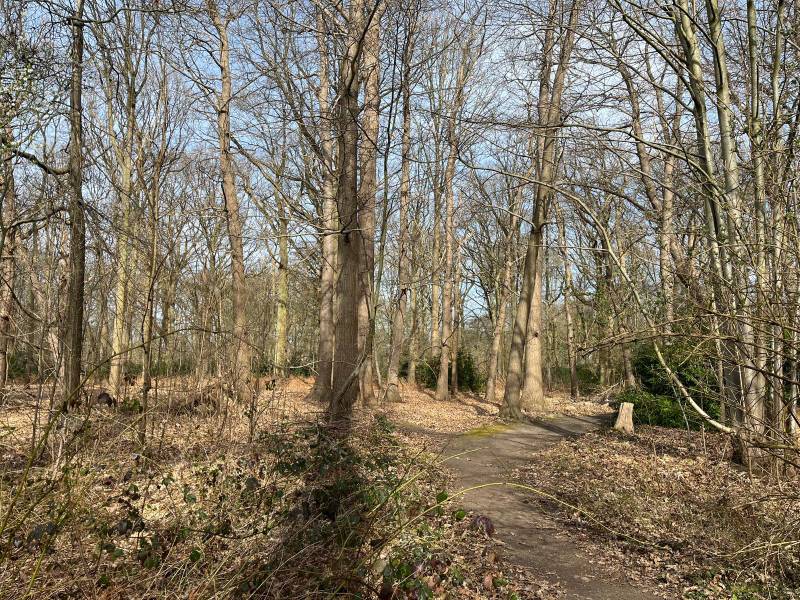 Buggenhout