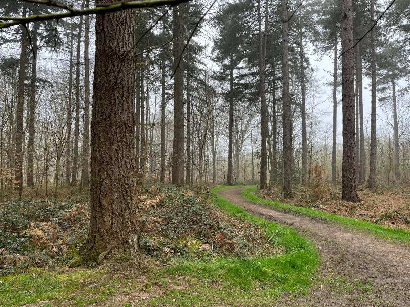 Helleketelbos