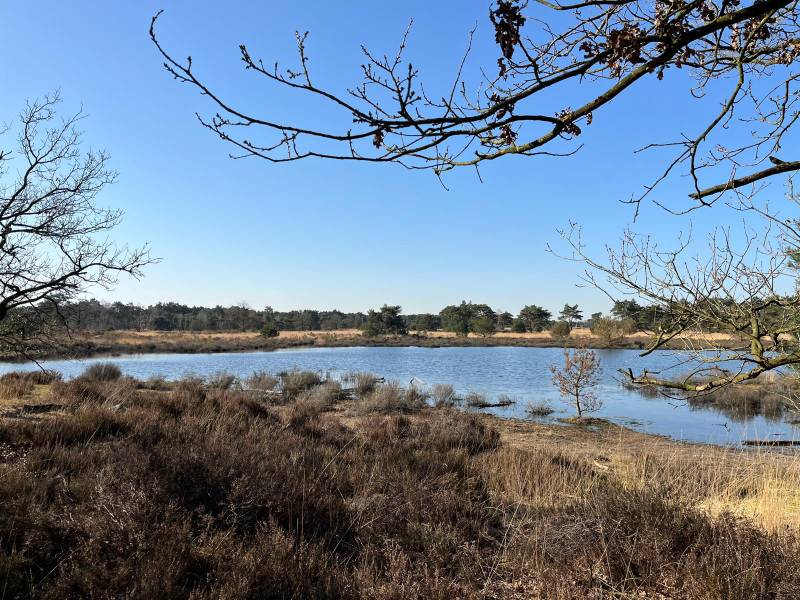 Kalmthoutse Heide