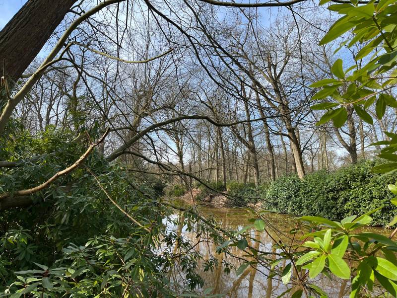Molsbroek