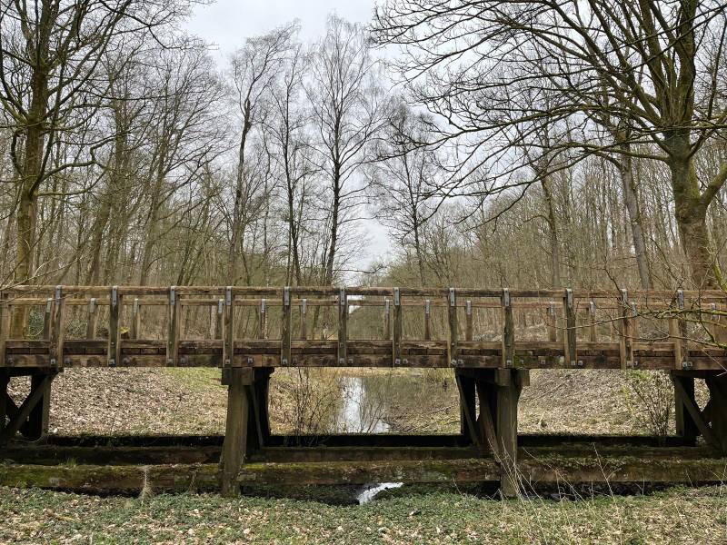 Palingbeek