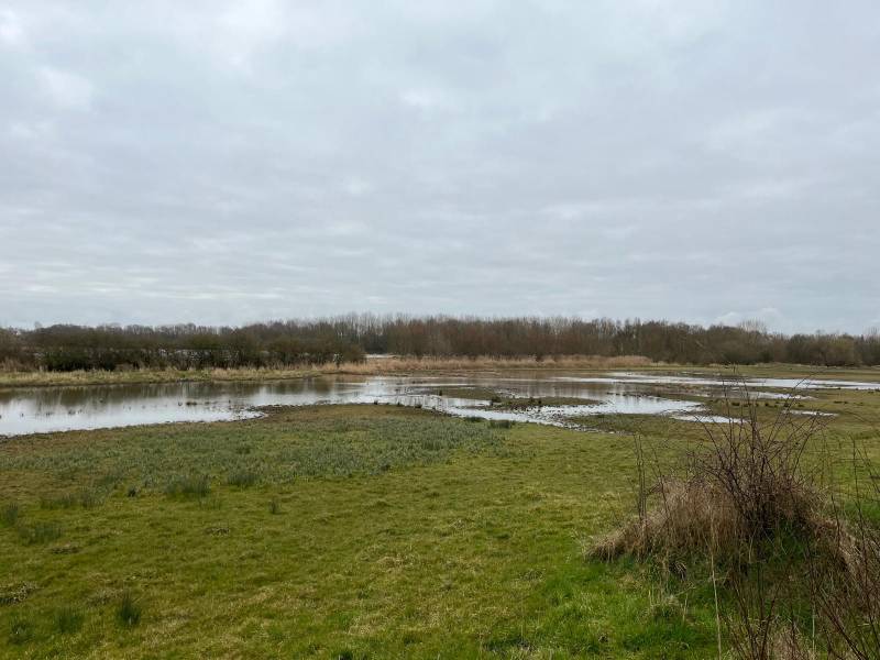 Verdronken Weiden
